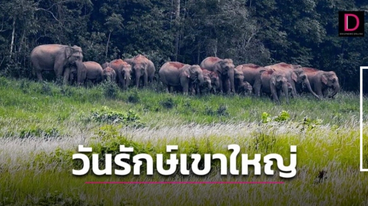 จัดงานวันรักษ์เขาใหญ่ เนื่องในวันสิ่งแวดล้อมโลก 2567
